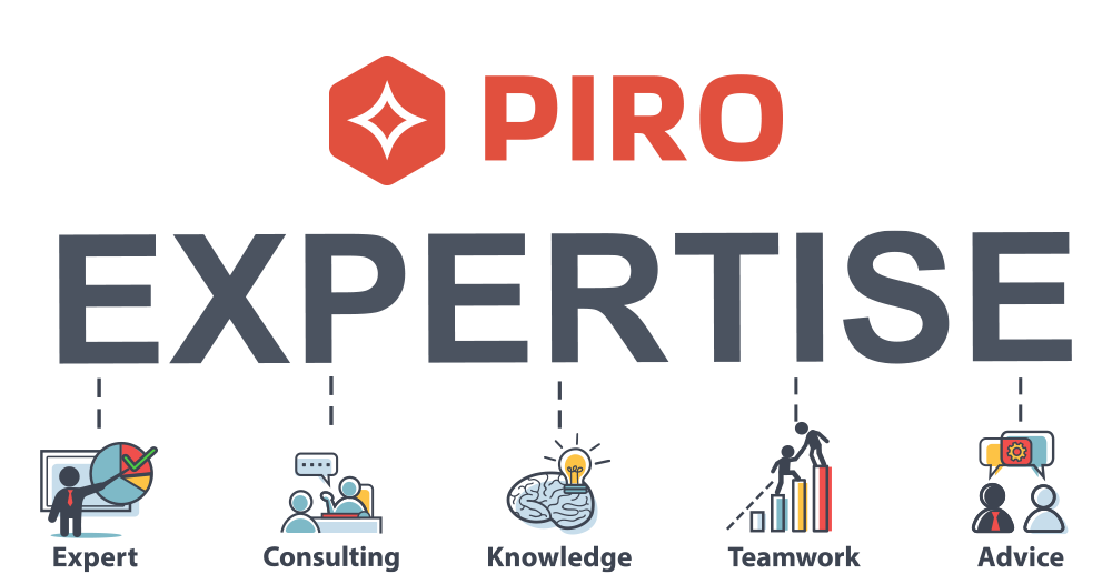 Jewelry business software implementation supported by experts and advice